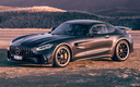 2019 Mercedes-AMG GT R (AU)