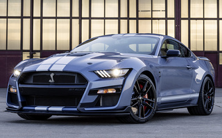 Shelby GT500 Mustang Heritage Edition (2022) (#106565)