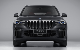 BMW X5 M Sport [LWB] (2022) CN (#108779)