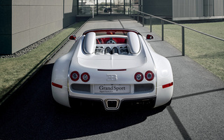 Bugatti Veyron Grand Sport Wei Long (2012) (#11090)