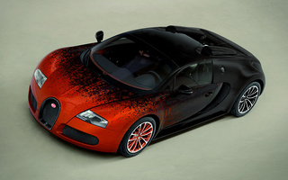 Bugatti Veyron Grand Sport by Bernar Venet (2012) (#11145)