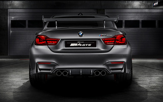 BMW Concept M4 GTS (2015) (#32339)