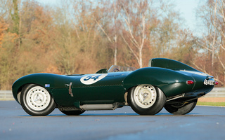 Jaguar D-Type [520] (1955) (#38482)