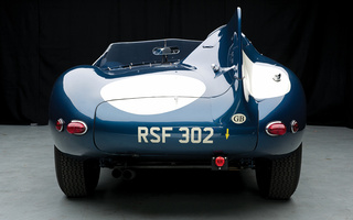 Jaguar D-Type Long Nose [504] (1955) (#38514)