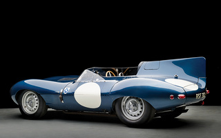 Jaguar D-Type Long Nose [504] (1955) (#38516)
