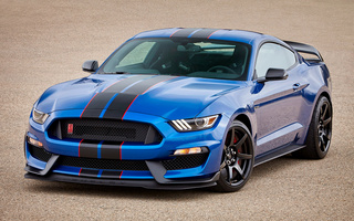 Shelby GT350R Mustang (2016) (#42369)