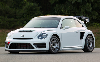 Volkswagen Beetle GRC (2014) (#43857)