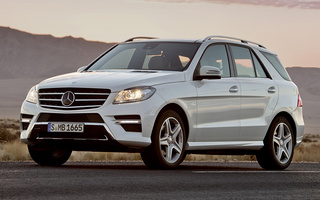 Mercedes-Benz M-Class AMG Styling (2011) (#53390)
