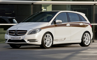 Mercedes-Benz Concept B-Class E-Cell Plus (2011) (#53415)