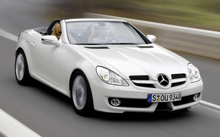 Mercedes-Benz SLK-Class (2008) (#54479)