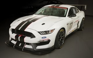 Shelby FP350S Mustang (2017) (#59558)