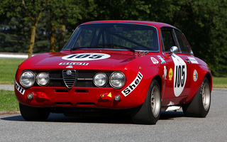 Alfa Romeo 1750 GTAm (1970) (#61032)