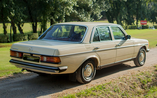 Mercedes-Benz 300 D (1976) (#74021)
