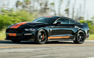 Shelby GT-S (2019) (#94883)