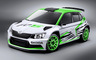 2014 Skoda Fabia R5 Concept