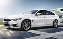 2015 BMW 4 Series Gran Coupe Style Edge (JP)