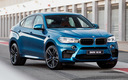 2015 BMW X6 M (ZA)