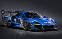 2020 McLaren Senna GTR LM 825/7 Jacadi