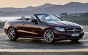 2017 Mercedes-Benz E-Class Cabriolet 25th Anniversary