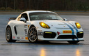 2015 Porsche Cayman GT4 Clubsport