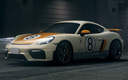 2022 Porsche 718 Cayman GT4 Tribute to 906 (JP)