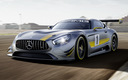 2015 Mercedes-AMG GT3