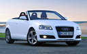 2008 Audi A3 Cabriolet (AU)