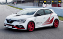 2019 Renault Megane RS Trophy-R