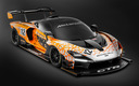 2018 McLaren Senna GTR Concept