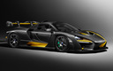 2018 McLaren Senna Carbon Theme by MSO