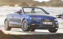 2014 Audi A3 Cabriolet (AU)