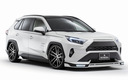 2019 Toyota RAV4 by Rowen (JP)