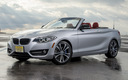 2015 BMW 2 Series Convertible (US)