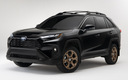 2023 Toyota RAV4 Woodland Edition (US)