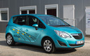 2010 Opel Meriva MeRegio