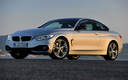 2013 BMW 4 Series Coupe