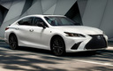 2020 Lexus ES F Sport Black Line