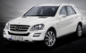 2010 Mercedes-Benz M-Class Grand Edition