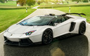 2014 Lamborghini Aventador LP 700-4 Roadster by Novitec Torado