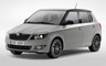 2013 Skoda Fabia Reaction