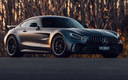 2017 Mercedes-AMG GT R (AU)