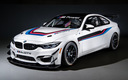 2018 BMW M4 GT4 (US)