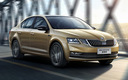 2017 Skoda Octavia (CN)