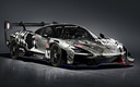 2020 McLaren Senna GTR LM 825/5 Cesar