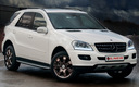 2011 Mercedes-Benz M-Class by Vilner