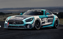 2017 Mercedes-AMG GT4