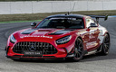 2022 Mercedes-AMG GT Black Series F1 Safety Car