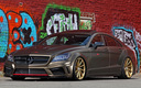 2014 Mercedes-Benz CLS-Class by Fostla & PP-Performance