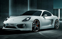 2013 Porsche Cayman by TechArt