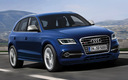 2013 Audi SQ5